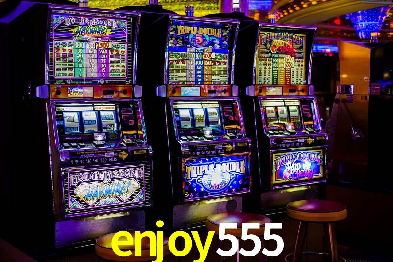 Login Seguro enjoy555