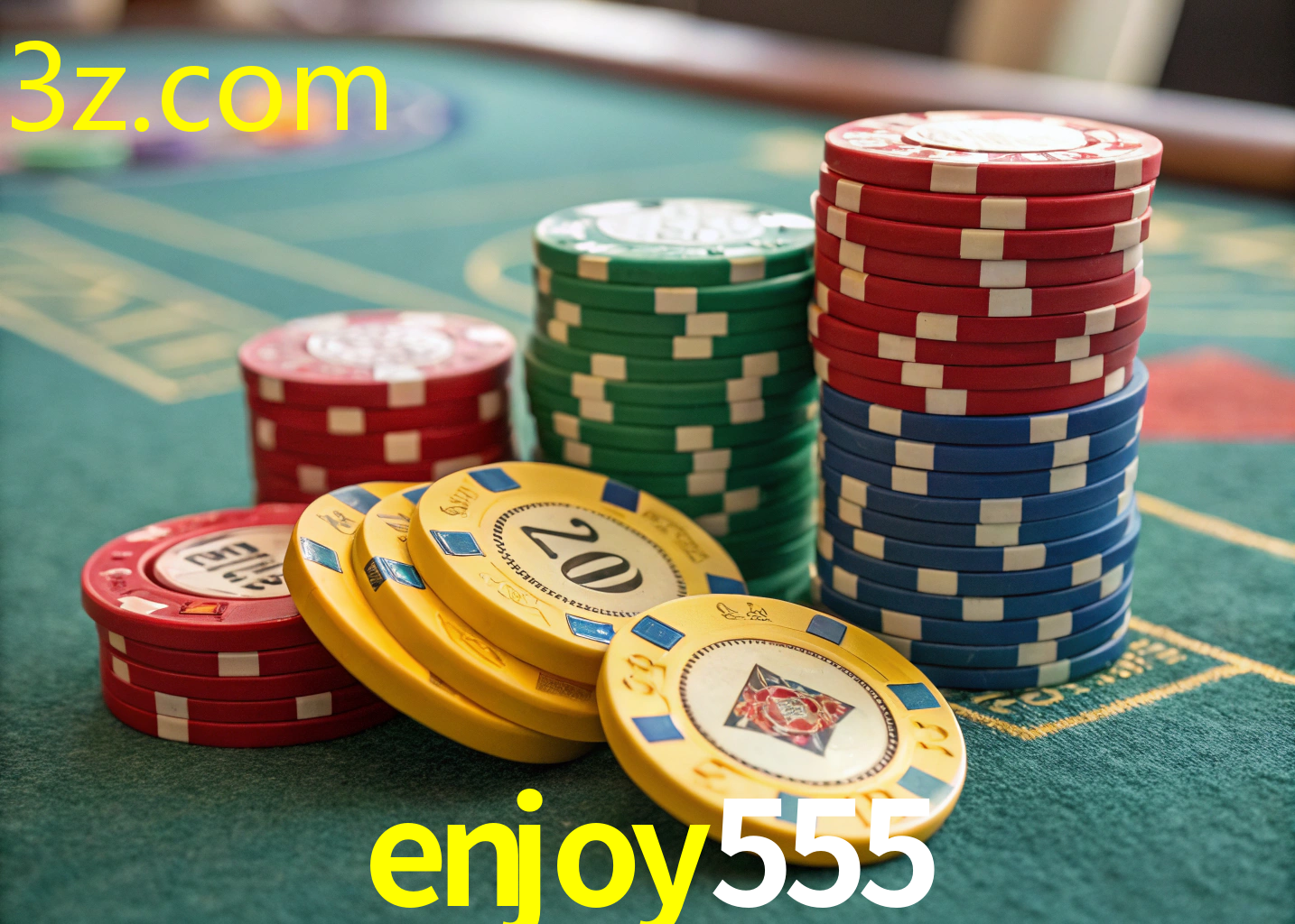 ENJOY555.COM