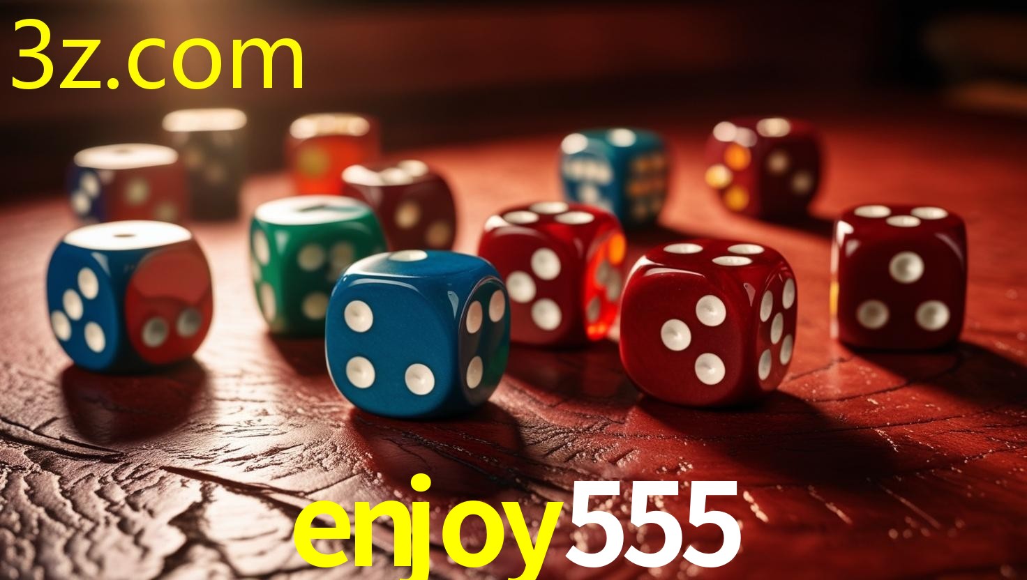 ENJOY555.COM