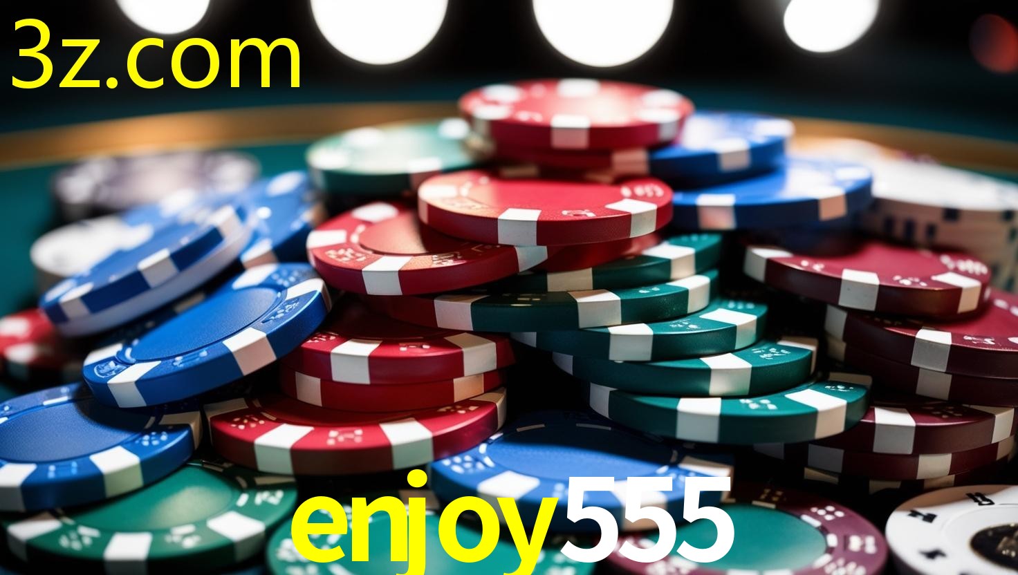 ENJOY555.COM